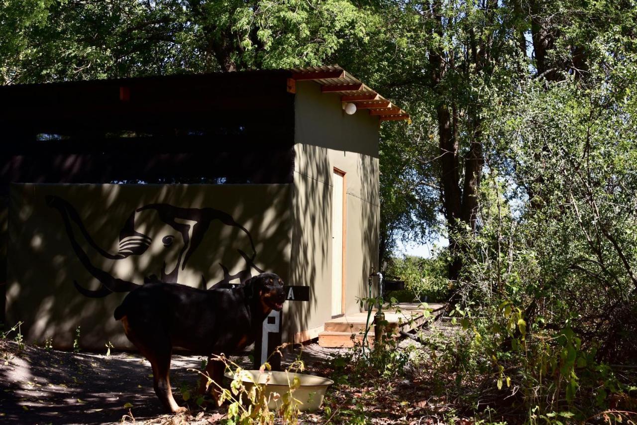 Phazama Farm Villa Maun Eksteriør bilde