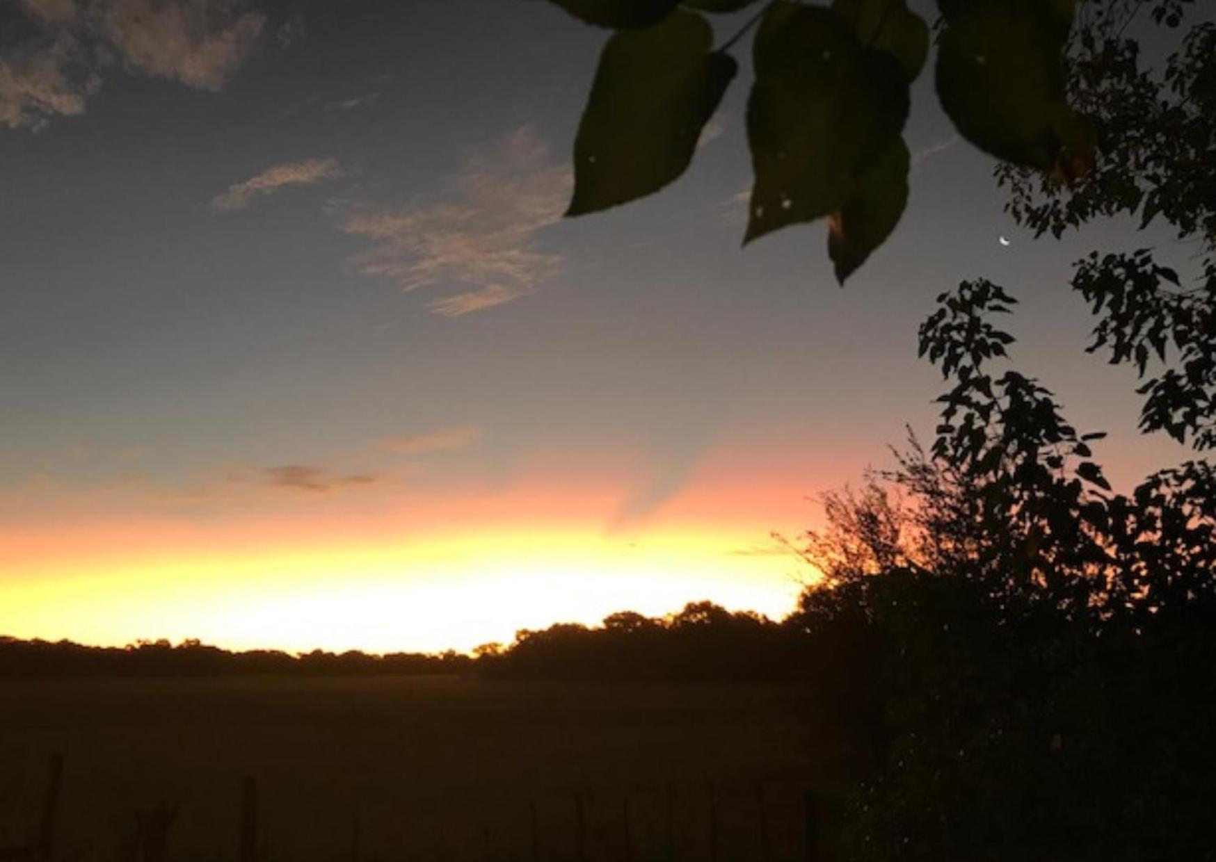 Phazama Farm Villa Maun Eksteriør bilde