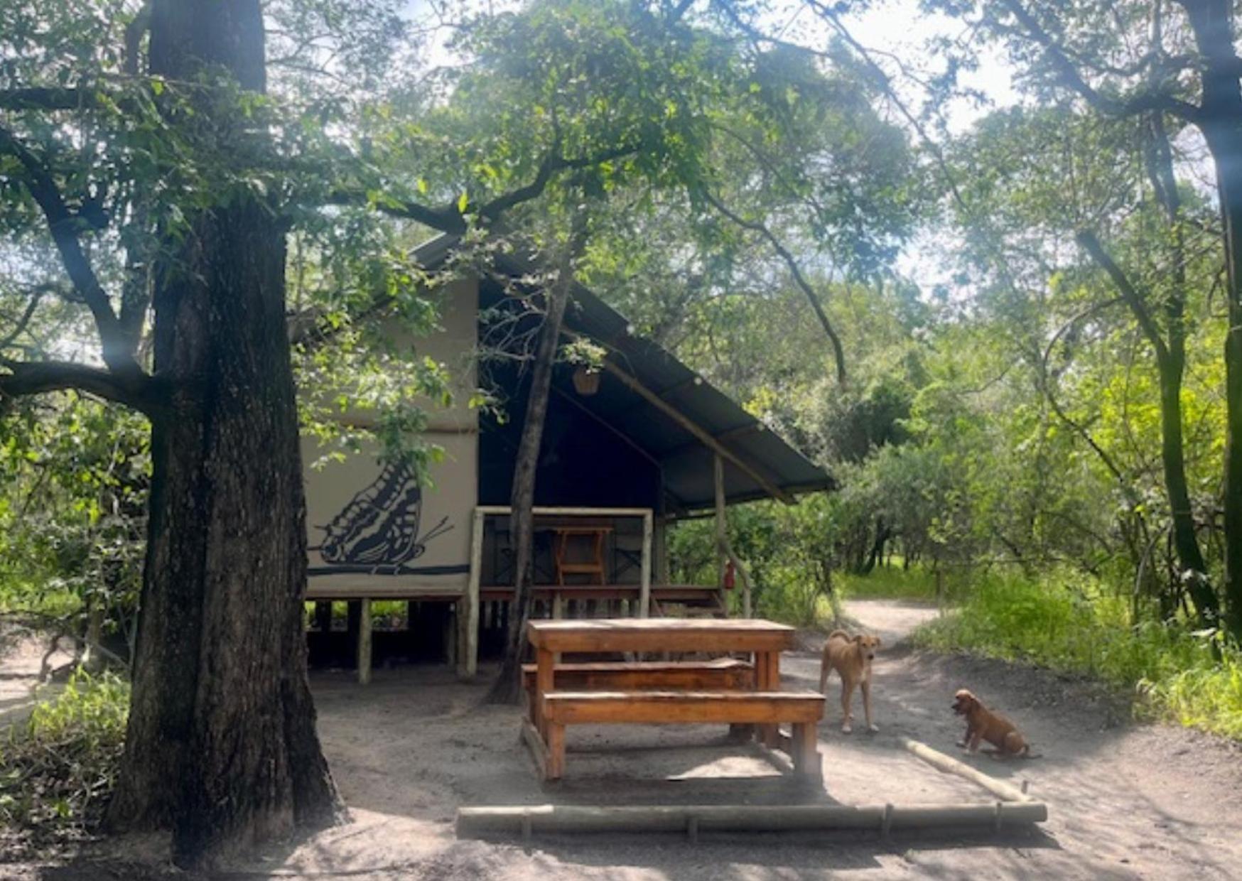 Phazama Farm Villa Maun Eksteriør bilde