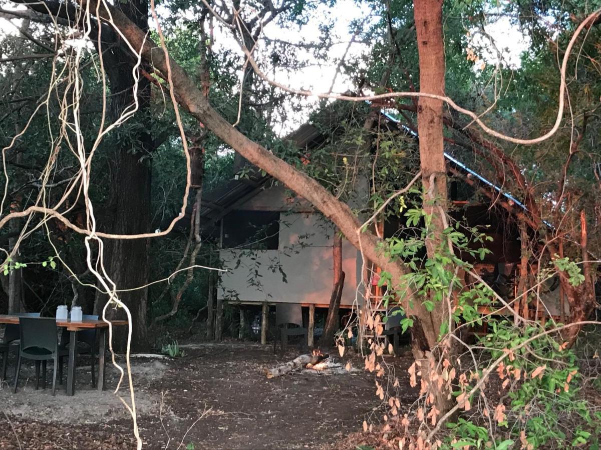 Phazama Farm Villa Maun Eksteriør bilde
